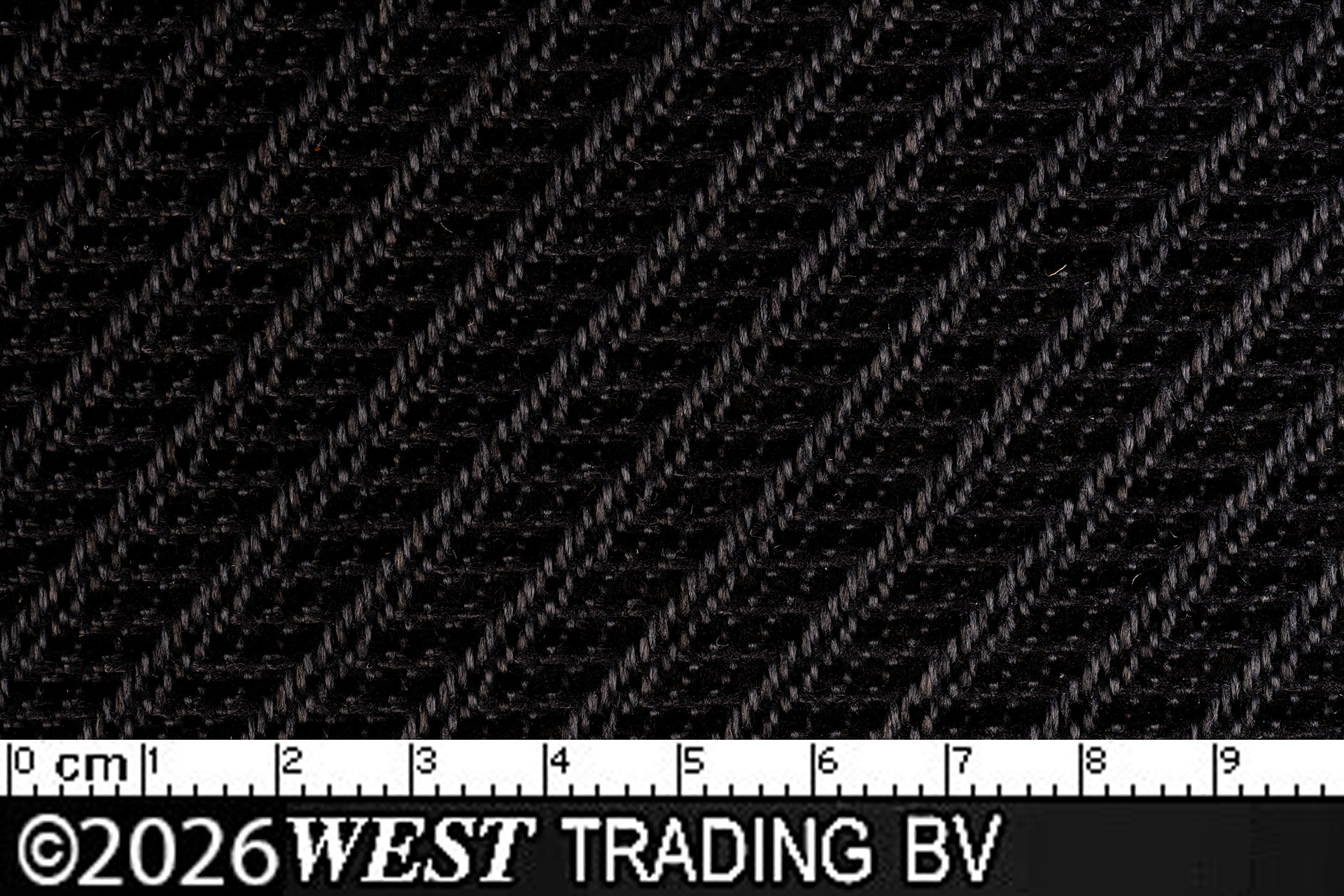 ISRI13590