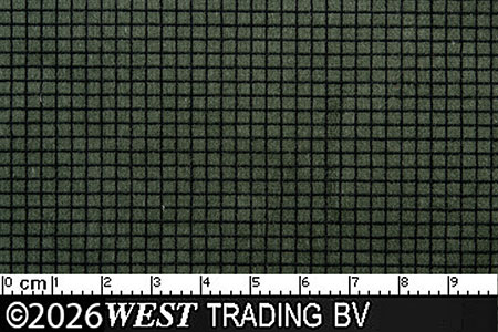 LANC28036