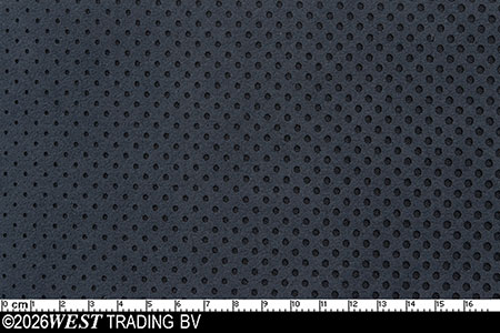 MICR39027